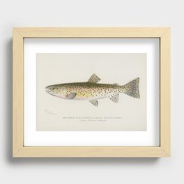 Spotted trout Recessed Framed Print