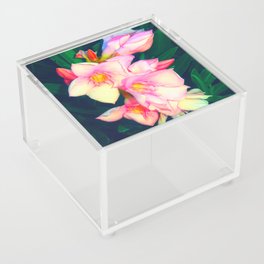 The Desert Rose Acrylic Box