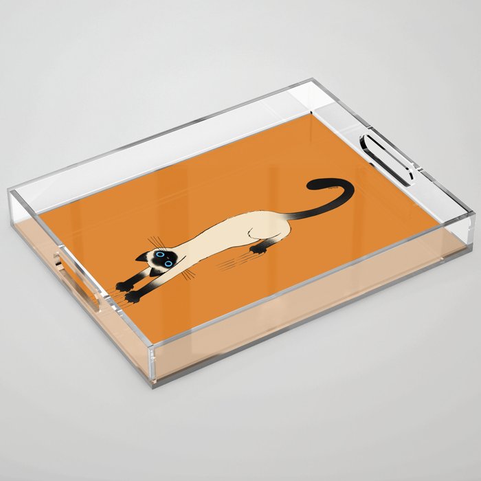 Siamese Cat Hanging On Acrylic Tray