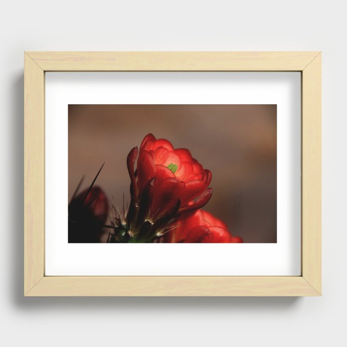  The Desert Rose... Recessed Framed Print
