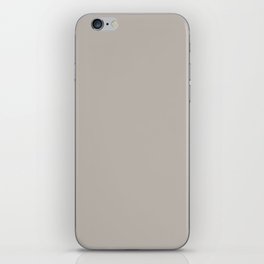 Neutral Soft Gray Taupe Solid Color PPG Silver Dollar PPG1022-3 - All One Single Shade Hue Colour iPhone Skin