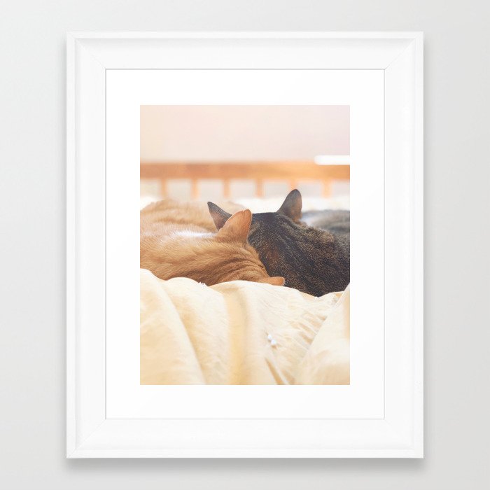 cat nap Framed Art Print