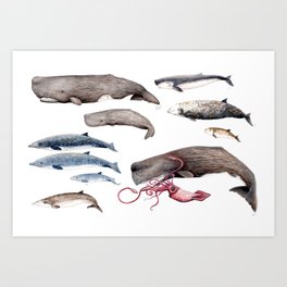 Deep sea whales Art Print