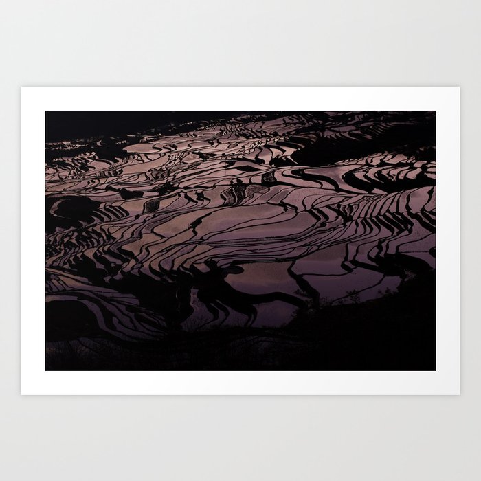 Colorful Rice Terraces Art Print