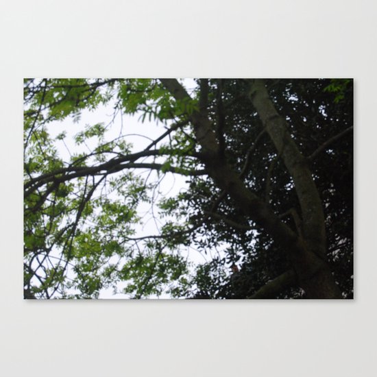 A Thousand Stories Tall. Canvas Print