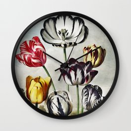 Tulips from The Temple of Flora (1807) Wall Clock
