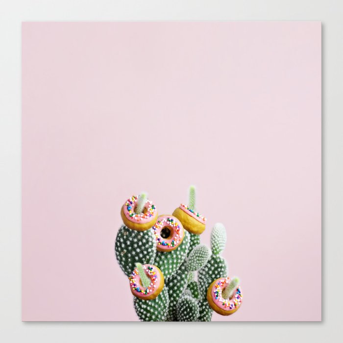 Donut Cactus In Bloom Canvas Print