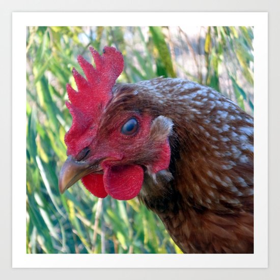 Hey There! Are You Chicken? Art Print