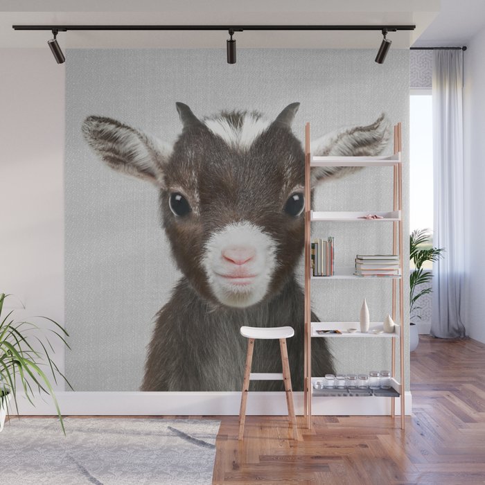 Baby Goat - Colorful Wall Mural