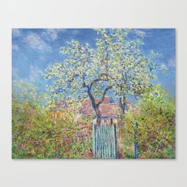 Claude Monet Poirier en Fleur 1885 impressionistic oil painting Canvas Print