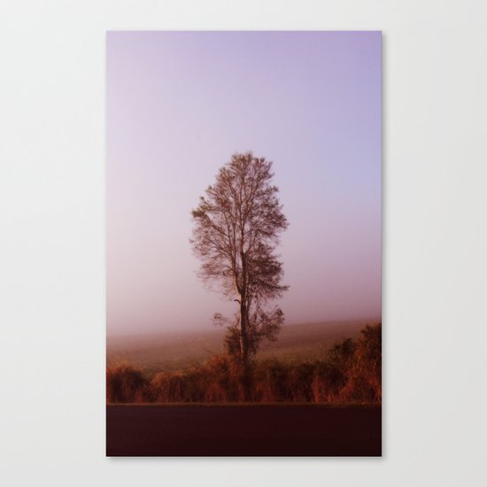 Standing alone in the fog Canvas Print
