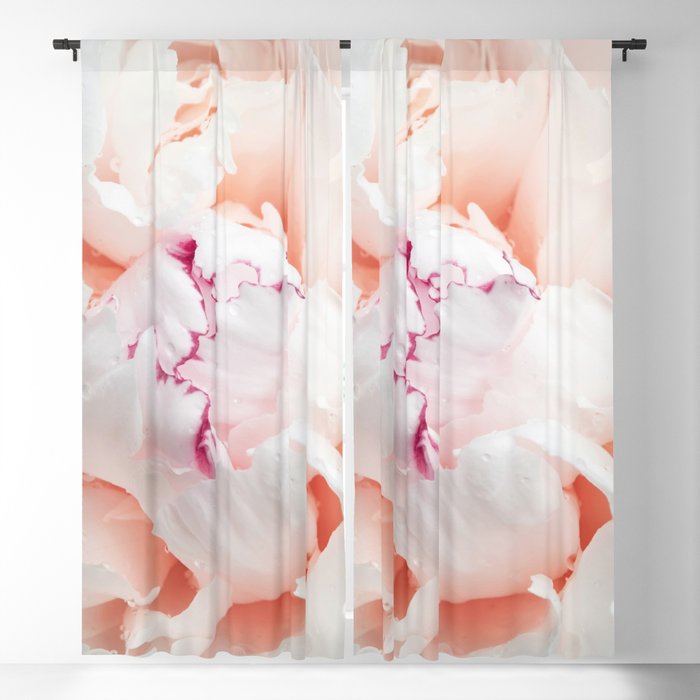 Peony Photography Blush Pink Flower Floral Art Print Nature