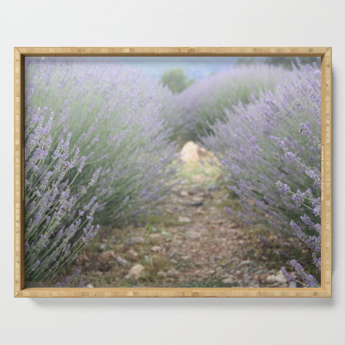 The Path Through Lavender Landscape Photograph Serving Tray