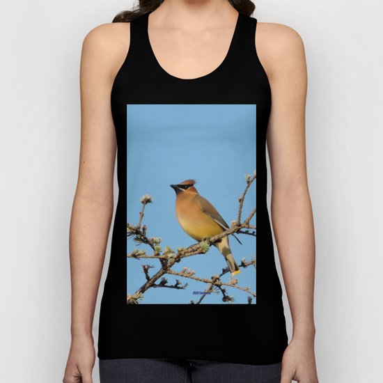 Cedar Waxwing Faces Sunset Unisex Tank Top