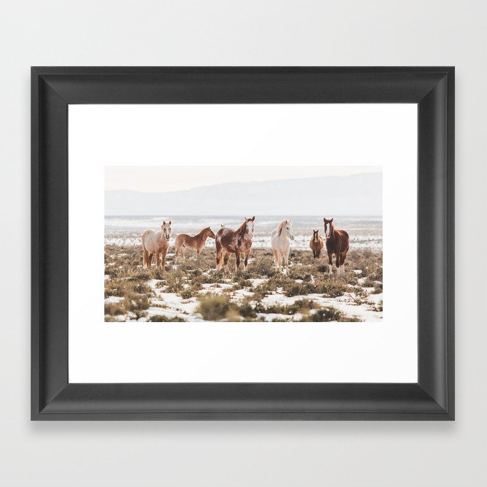 Mustangs of Colorado River Framed Art Print