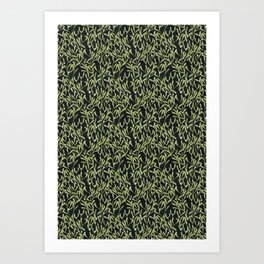 Delicate Winter Green Mistletoe  Art Print