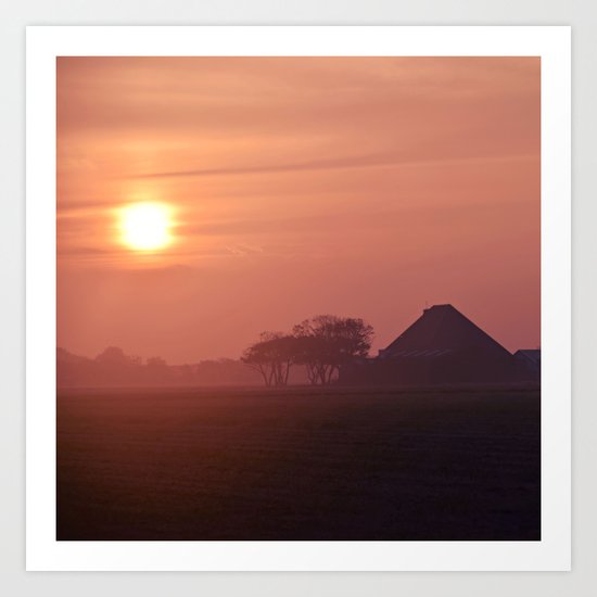Morning activity #5 Art Print
