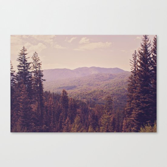 The View Canvas Print