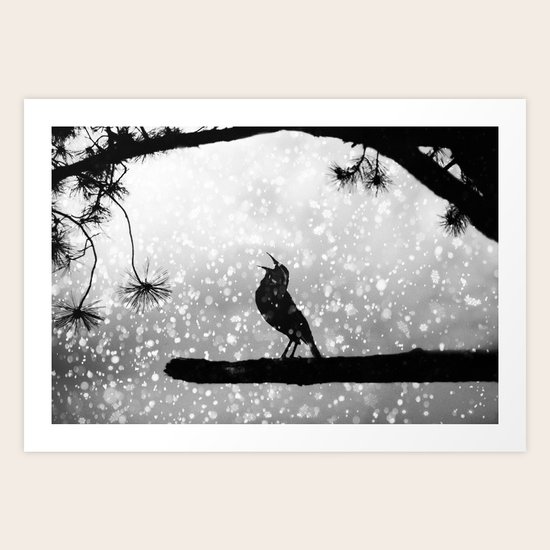 Singer Art Print