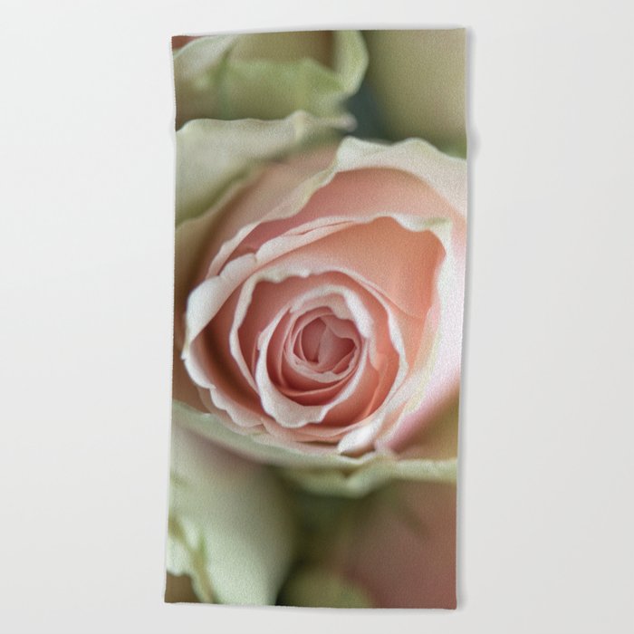 Floral blush pink rose - boho flower - nature and travel photography Beach Towel