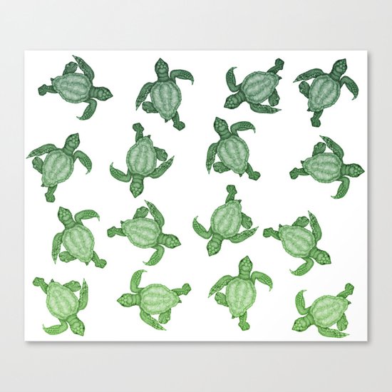 Baby Sea Turtles Canvas Print