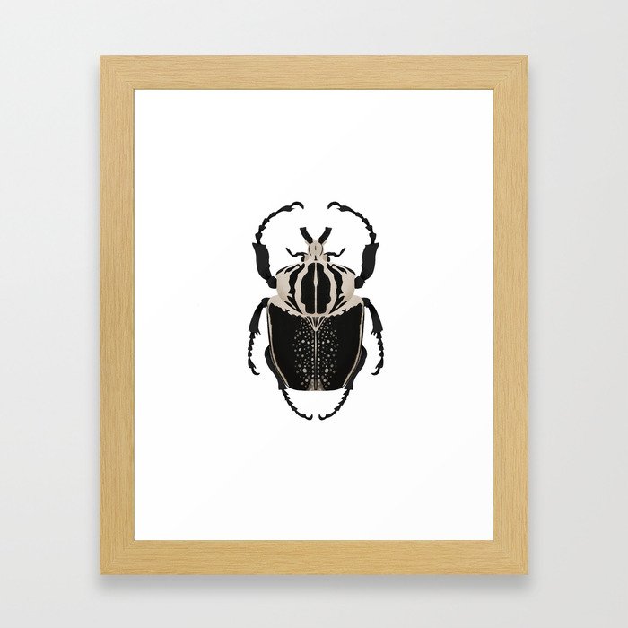 Royal Goliath Beetle Framed Art Print