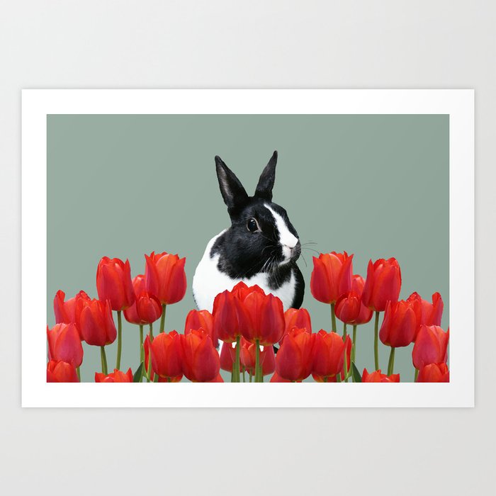 Black white Bunny - Rabbit Tulips Flowers Art Print