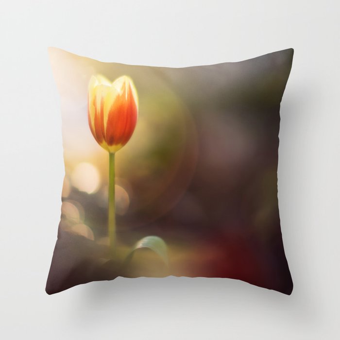 Dutch Tulip in sunset | flower and nature photography | Yellow, Red, Sunflare and springtime Throw Pillow