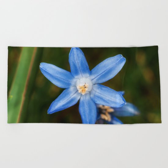Snow glories Beach Towel