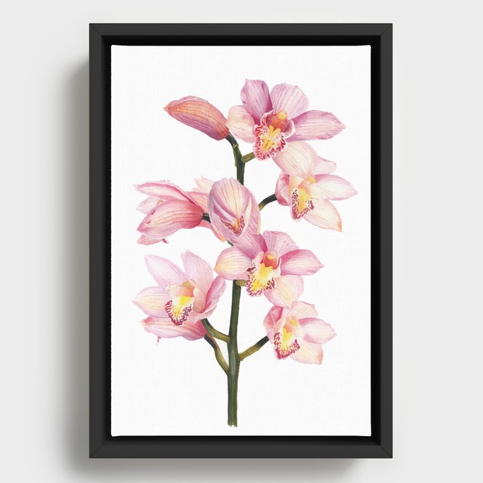 The Orchid, A Realistic Botanical Watercolor Painting Framed Canvas
