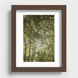 Layers of Greens | Nature Photography in Italy  Recessed Framed Print