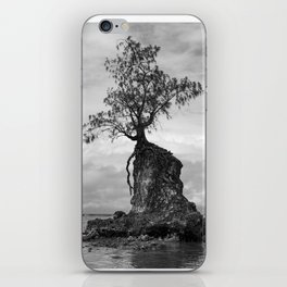 Tree, Rock, Ocean iPhone Skin