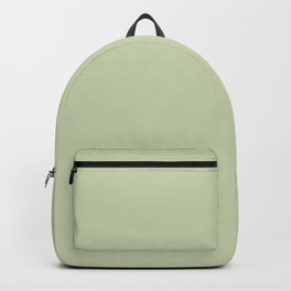 Plain Solid Color Seafoam Green Backpack