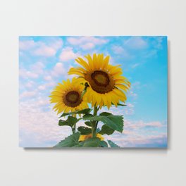 Summer Sunflowers Metal Print | Sunflowerfield, Flower, Botanical, Flowers, Yellowflowers, Summerday, Yellowsunflower, Flowerfield, Sunflower, Photo 