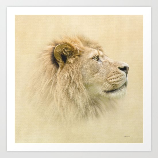 Lion II Art Print
