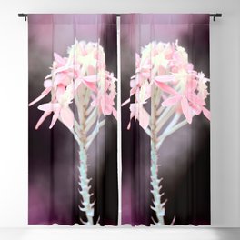 Moody Pink Tone On Epidendrum Radicans Orchid Close Up Blackout Curtain