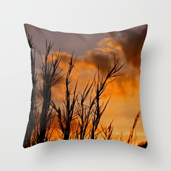 Almost Gone Throw Pillow