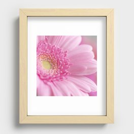 Bright and cheerful hot pink gerbera - romantic valentines flower - nature photography Recessed Framed Print