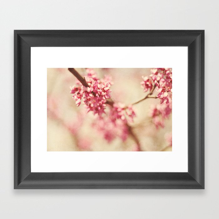 gifts of pink blossoms Framed Art Print