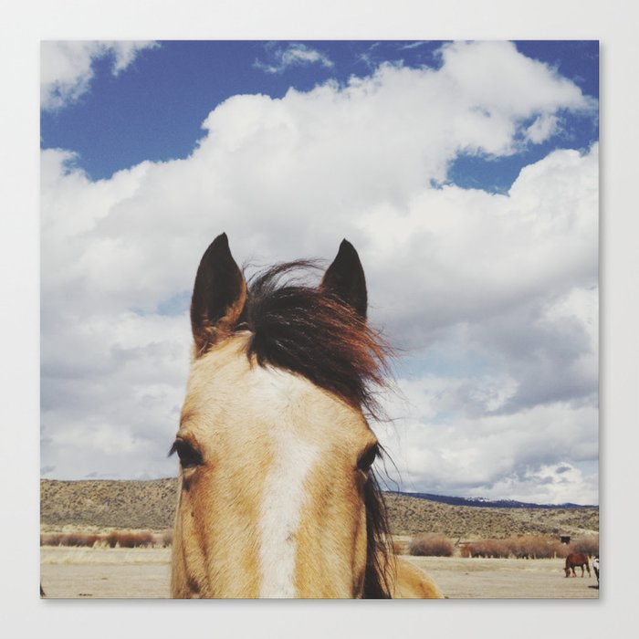 Canvas Print