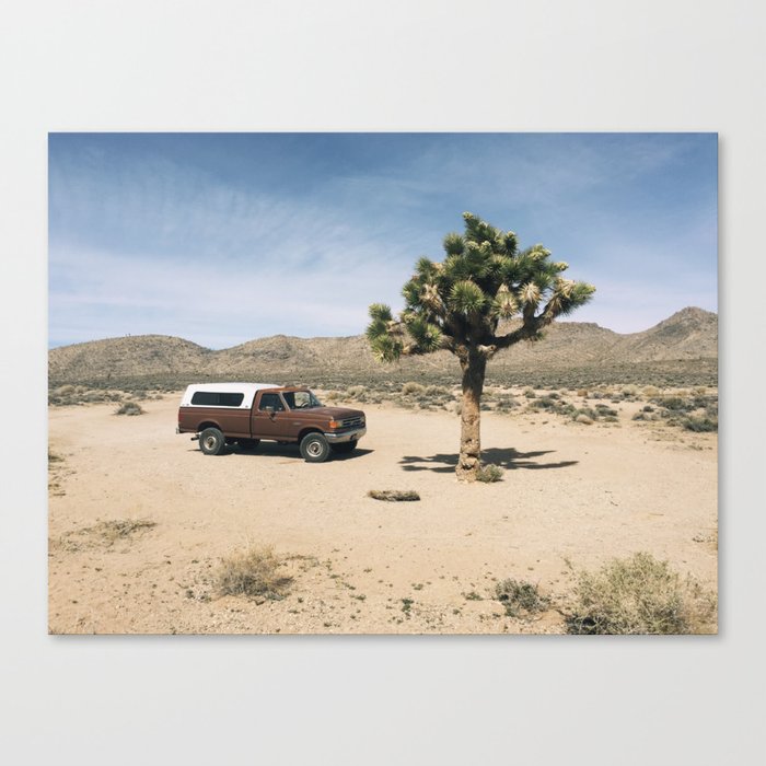 Joshua Tree in Death Valley  Canvas Print