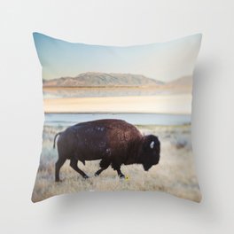 Pillows By Chelsea Victoria Society6