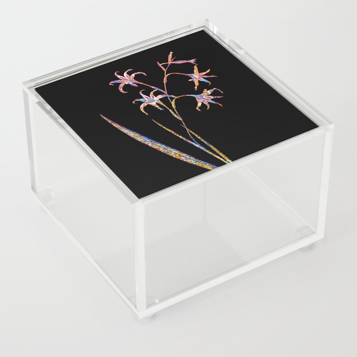 Floral Gladiolus Cuspidatus Mosaic on Black Acrylic Box