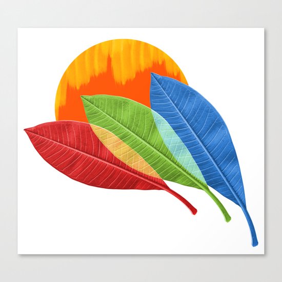 mezze stagioni Canvas Print