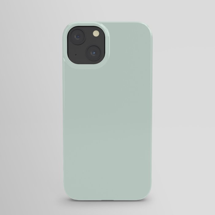 Pale Seafoam Solid Color Pairs To Sherwin Williams 2021 Trending Color Embellished Blue SW 6749 iPhone Case