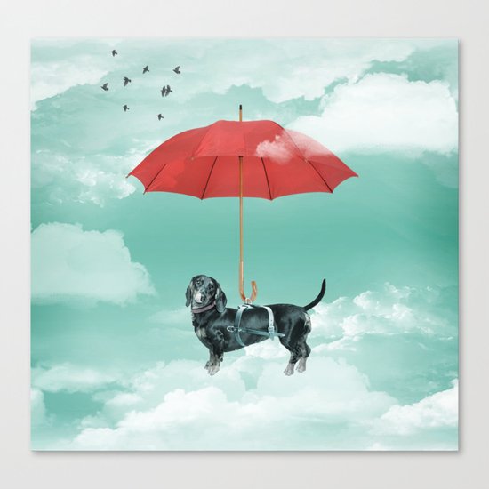 Dachshund chute Canvas Print