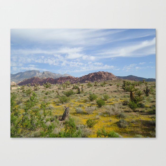 Red Rock Canyon Canvas Print