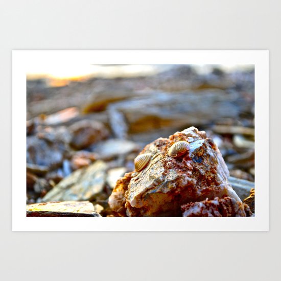 Golden Shell Art Print