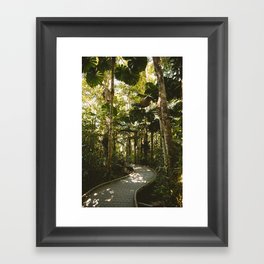 Daintree Rainforest III Framed Art Print