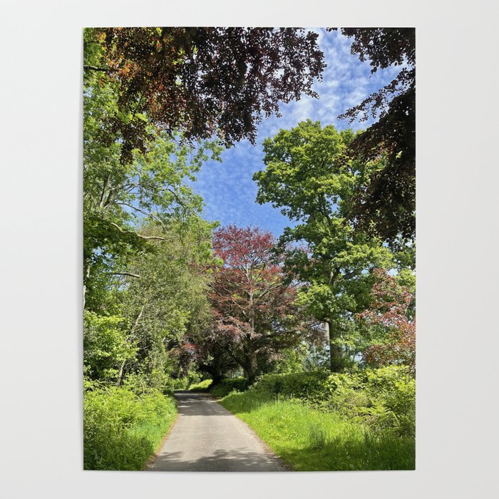 Springtime Country Road Poster